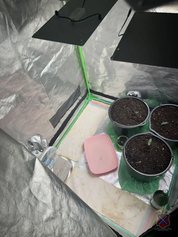 � �������� ������������ ������� �������� ������������� � ���������� ������� ����������