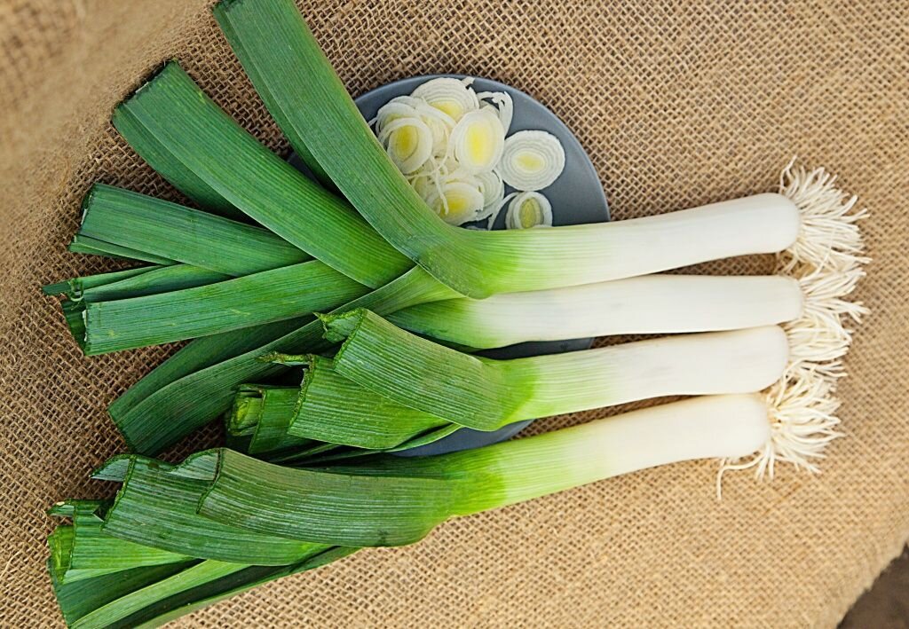 Лук-порей: секреты посадки и ухода за суперовощем