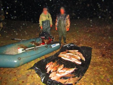 ����� ����������� ��������� � ����������� ������