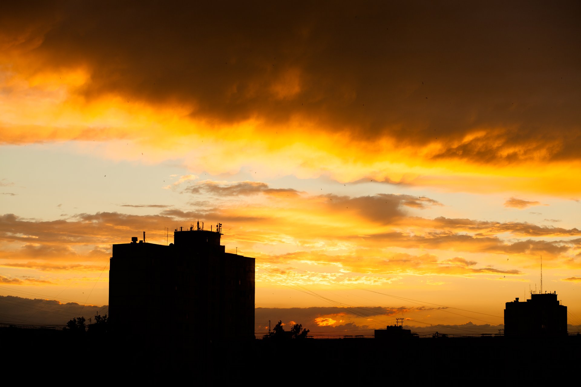 Специалисты в марте 2026 года исследовали радиационную обстановку в Волгограде и районах Волгоградской области