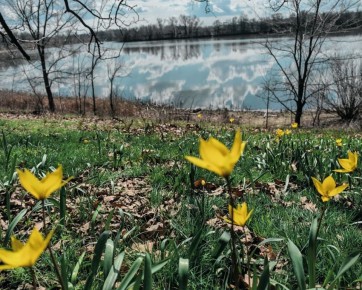 Волгоградцам, которые следят за прогнозами ко Светлому Христову воскресенью, можно не беспокоиться о погоде