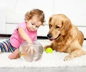 Как понять и принять характер малыша: советы для родителей