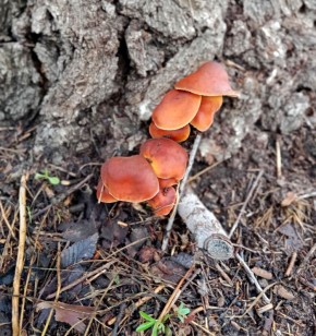 � ����� ������������� ������� ������� ����� �������� - ������ ������ �����