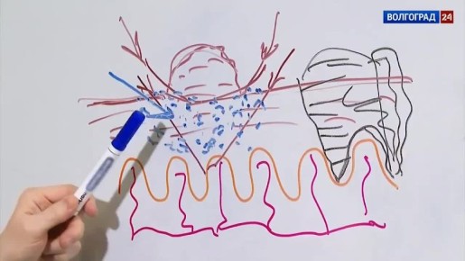 � ����� ������� ��������� ��������� ���������� ������ �������� ���� � ����������