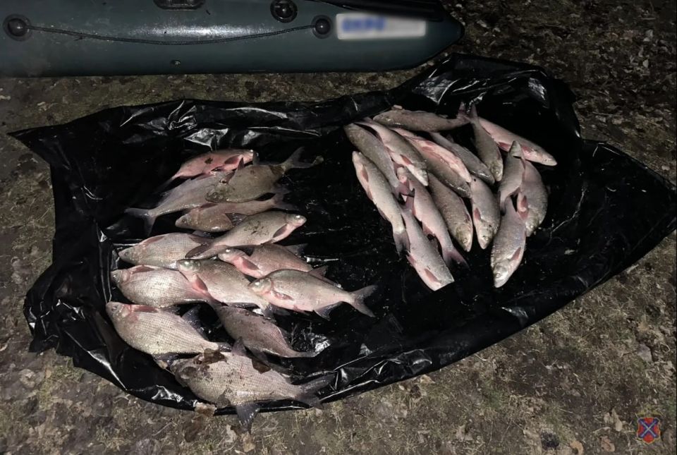 � ����������� ������ ����������� �������� ���������� ����� ����