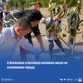 В Волжском с приходом тепла стартовал сезон озеленения: первыми к высадке деревьев и кустарников приступили коллективы школ