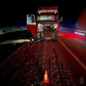 Мужчина погиб под колесами грузовика на федеральной трассе под Волгоградом