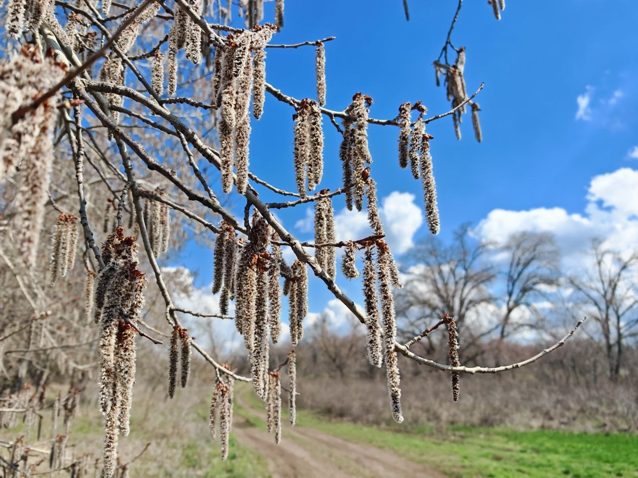Жителям Волгограда и других южных регионов России стоит подготовиться к возвращению отрицательных температур в последний весенний месяц