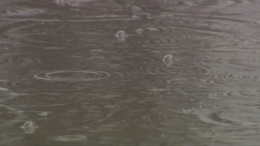 Сильные дожди и туман надвигаются на Волгоградскую область