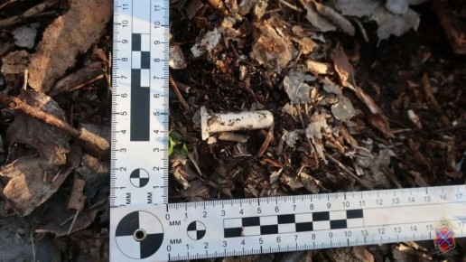 ����������� ������������� ������ ��������� �������������� � ���������� ������� ����������