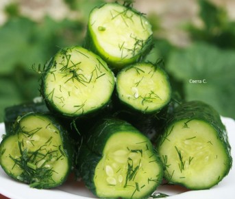 ��� ������ ����������� ����������� ������: ����������� ������ �� ������ ����