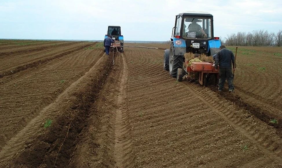 Новый лесной питомник появится в Волгоградской области