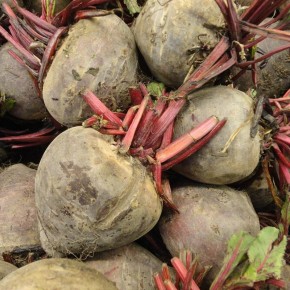 ��� ��������� ����� ������ �� �����: ������� ������