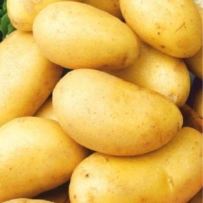Картофель Генеральский: идеальный урожай для эффективного огородничества