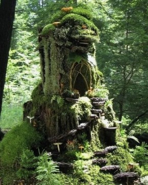 ����������� ������ ���� � �������� ������� �����: ����, ������� ������