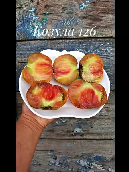 Томат Козула 126: уникальный сорт для опытных огородников