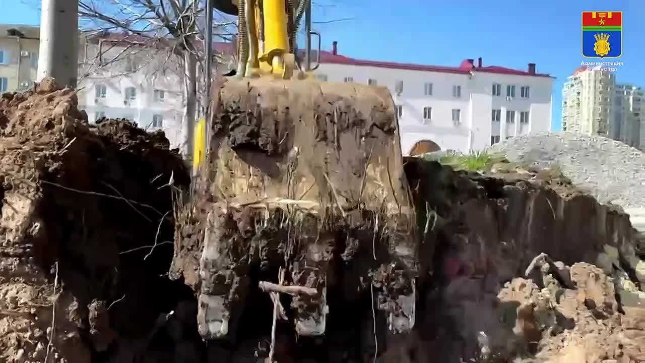 На благоустраиваемой территории Привокзальной площади специалисты приступили к работам по пересадке молодых и здоровых деревьев