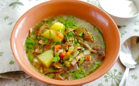 Грибные супы для вегетарианского стола: традиции и современные рецепты