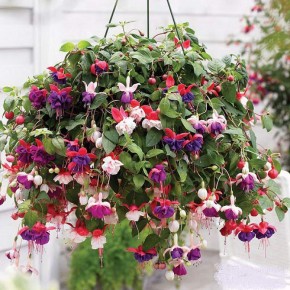 ������: ��� ������� �������� ������ ���� ��������� ����������