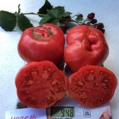 ����� ������: ��������� ���������� �����, ����� � �����������