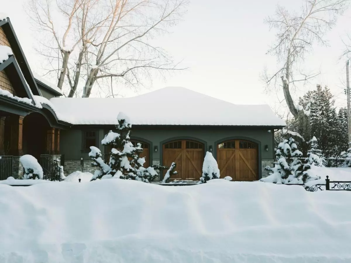 Осенью на даче в Новосибирской области: как защитить утеплитель и электропроводку от мышей