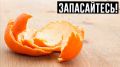 Как кожура цитрусовых может преобразить ваш огород
