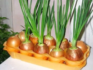 ��� ��������� ������� ��� ����: ������ ��� ������ ������ ������� ���