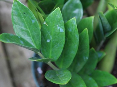 ���� � �������: 5 ������������ �������� ��� �������� ������� ������ ����