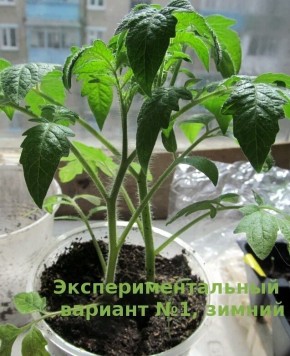 ��� �� ����� ������������� ��������: ������ ���������