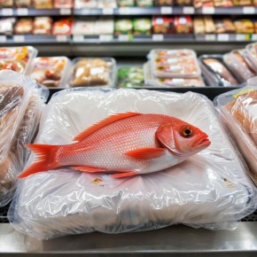 ��� ������� ���� ������������ ���������� ��������: ������ ��������