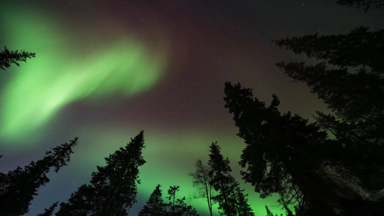 Далекие и манящие звезды вдохновили волгоградцев на творчество Далекие и манящие звезды вдохновили волгоградцев на творчество