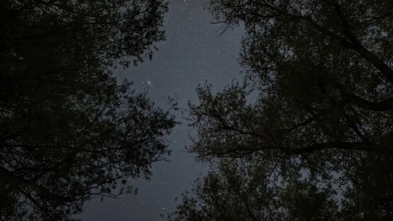 Далекие и манящие звезды вдохновили волгоградцев на творчество Далекие и манящие звезды вдохновили волгоградцев на творчество
