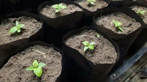 ������ ������ ������ ����� ��� ��������� ������ � �� �����������