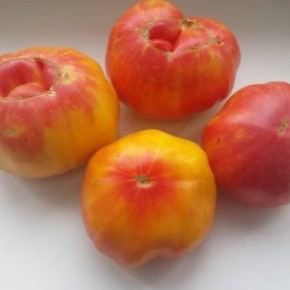 На грядках будущего: томат грейпфрут покоряет огороды