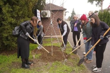 Редкие для Волгограда породы деревьев появились в Центральном парке