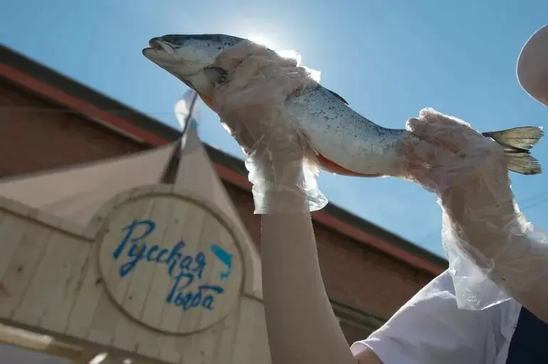 Пикша: Ракетное падение цен на рыбу в России