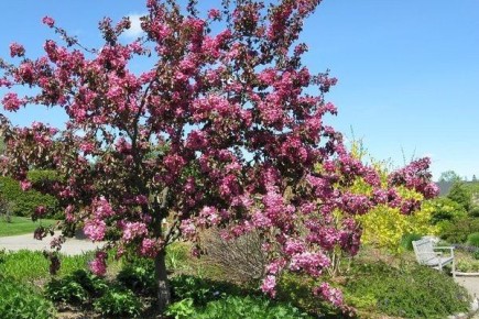 ������ ���: ��������� ������� ��� ��������� ���������