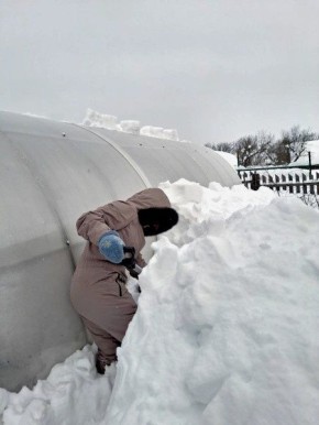 ����� � ���������: ��� ��������� ��������� ������� �� ���� ������