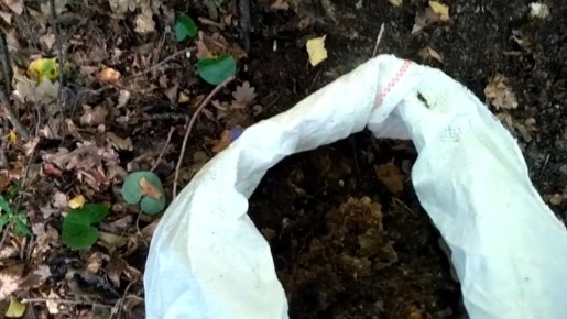 ������� �������� �������: ������ ������ ����� � ������ ������� ��� �����������