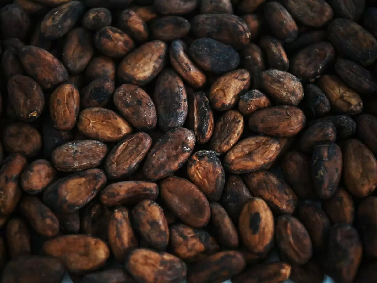 Снижение цен на какао-бобы: чего ожидать в 2025 году?