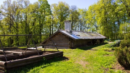 ������� ������� ������� �������: ��� �������� ����������� ������