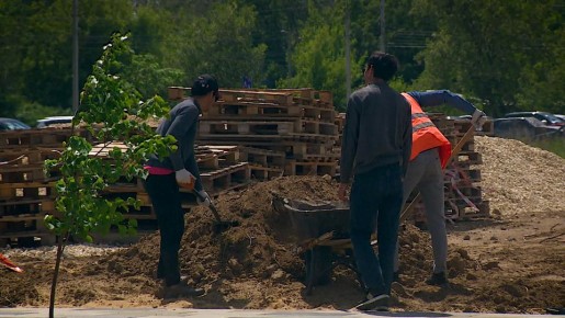 Волгоградцы смогут выбрать парк, где провести благоустройство в 2027 году
