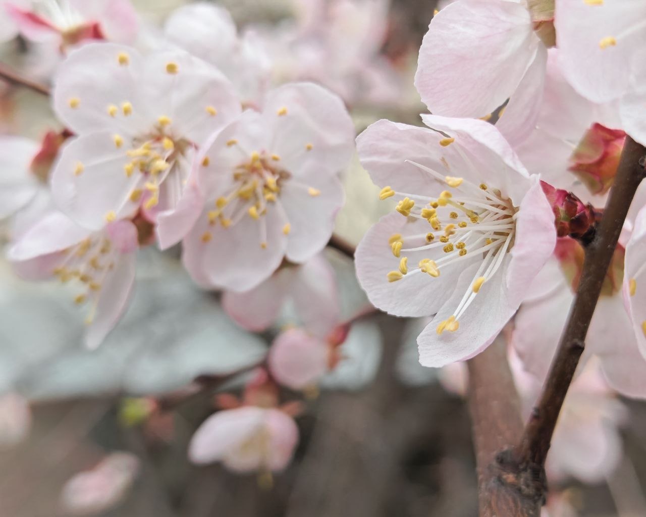 Жителям Волгоградской области, которые уже планируют летний отдых, стоит прислушаться к прогнозам синоптиков