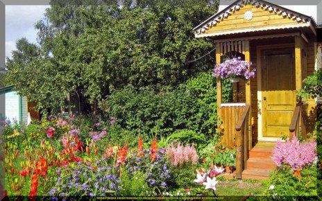 ��� ���������� ��������� �� ���� �� �������� ����: ������� ��������� ����� �� ����������