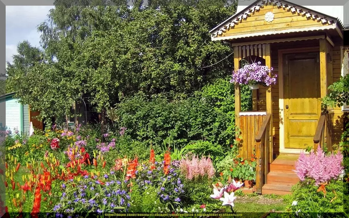 Что необходимо завершить на даче до середины лета: секреты успешного ухода за растениями