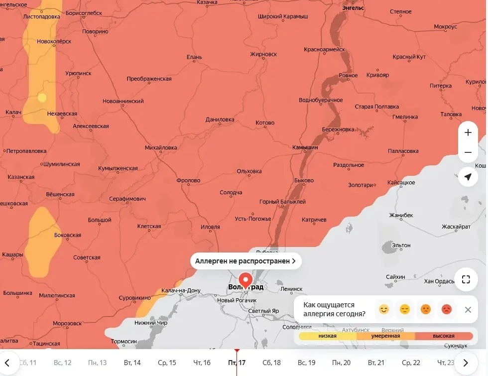 Аллергики, держитесь! Несмотря на то, что растения только просыпаются, пыльца березы, по данным Яндекса, уже захватила Волгоградскую область
