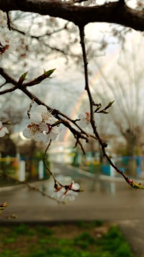 Тучки рассеялись, и из-за облаков показалась радуга