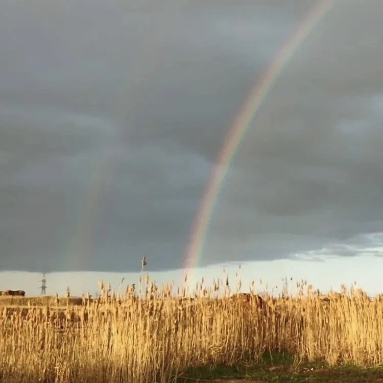 Доброе утро, Волжский Доброе утро, Волжский