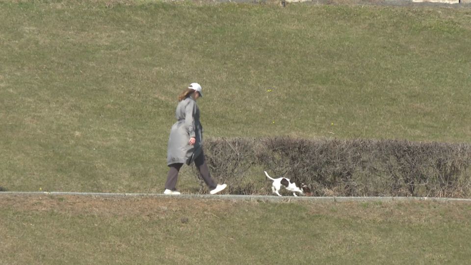 ��������� ����� � ���-10 ���������� ����������� ��� ������ � ��������� � ������