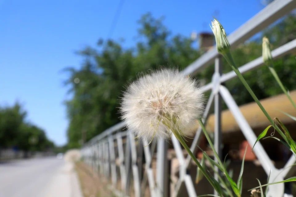 ��� �������� ������ � ��������� VPN: ��� ��� ��������� ����������� 15 ������